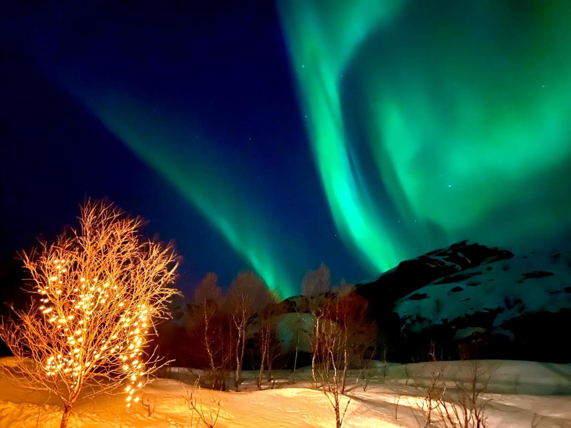 Lofoten Glampingdome Myrland Екстериор снимка