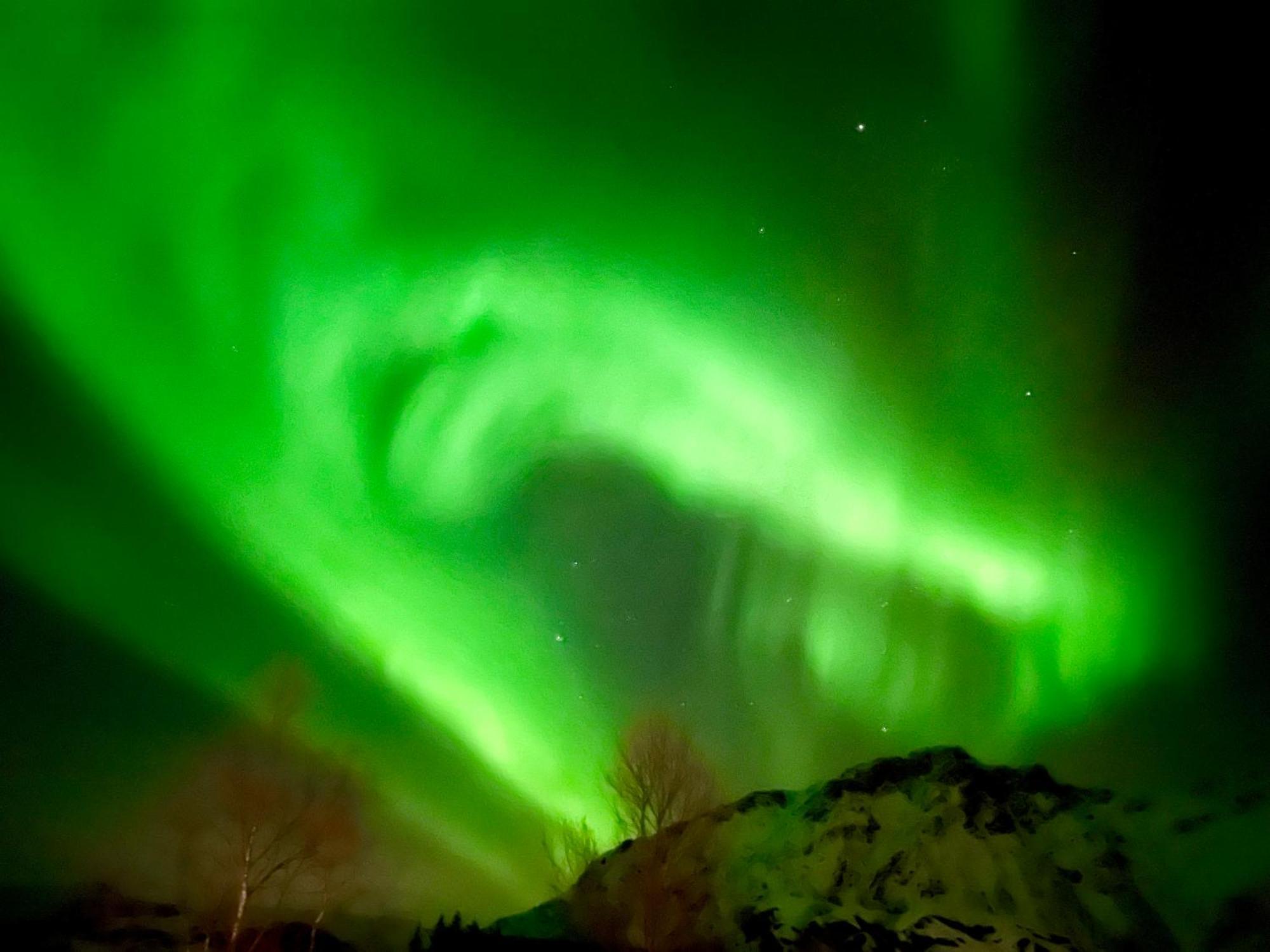 Lofoten Glampingdome Myrland Екстериор снимка