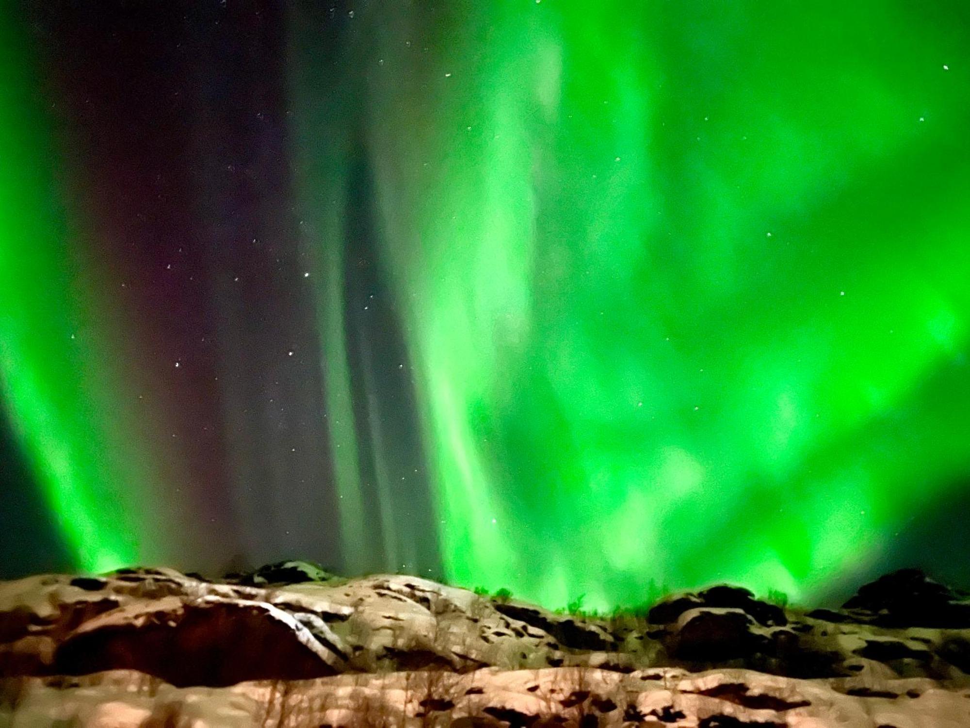 Lofoten Glampingdome Myrland Екстериор снимка