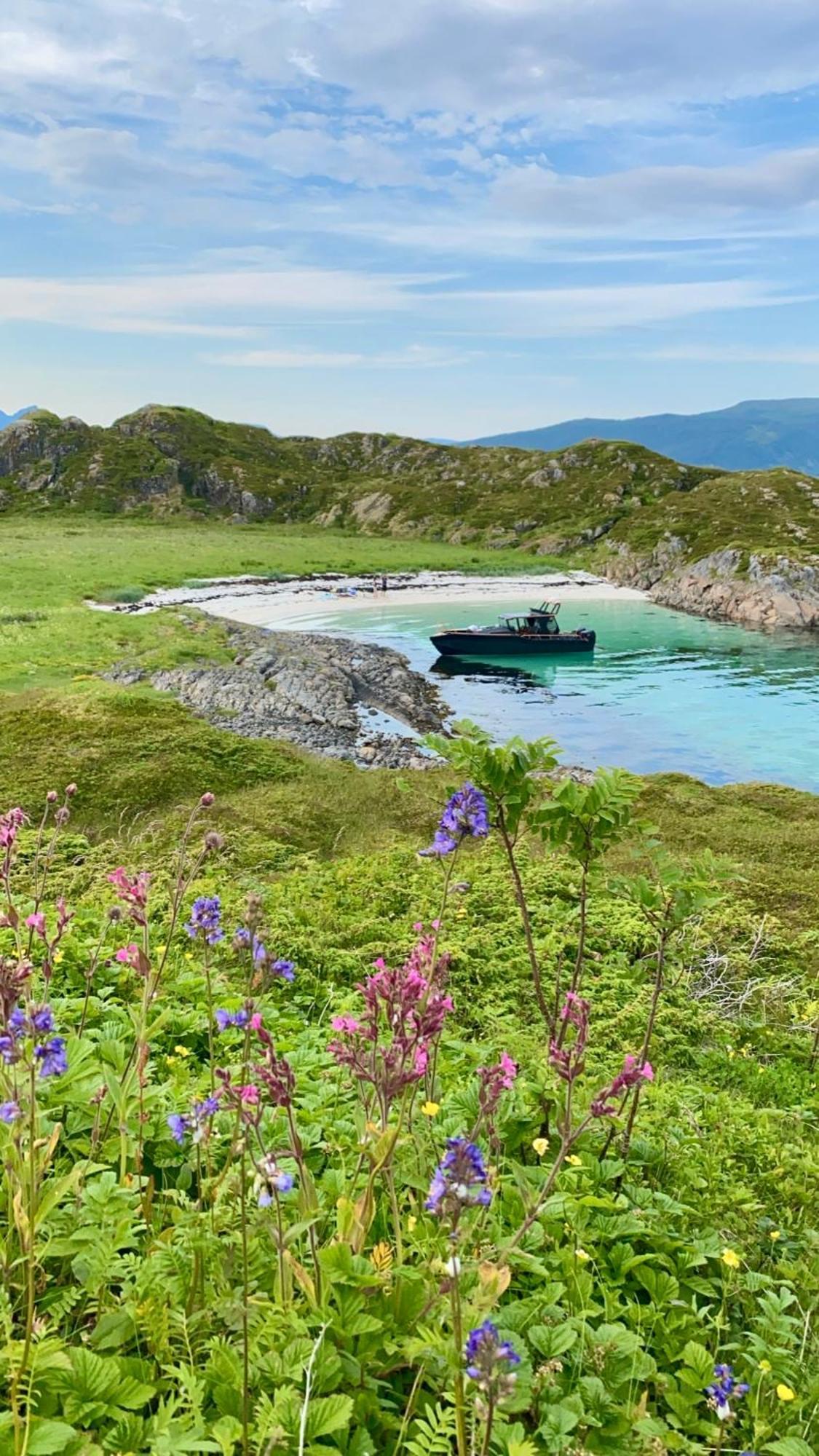 Lofoten Glampingdome Myrland Екстериор снимка